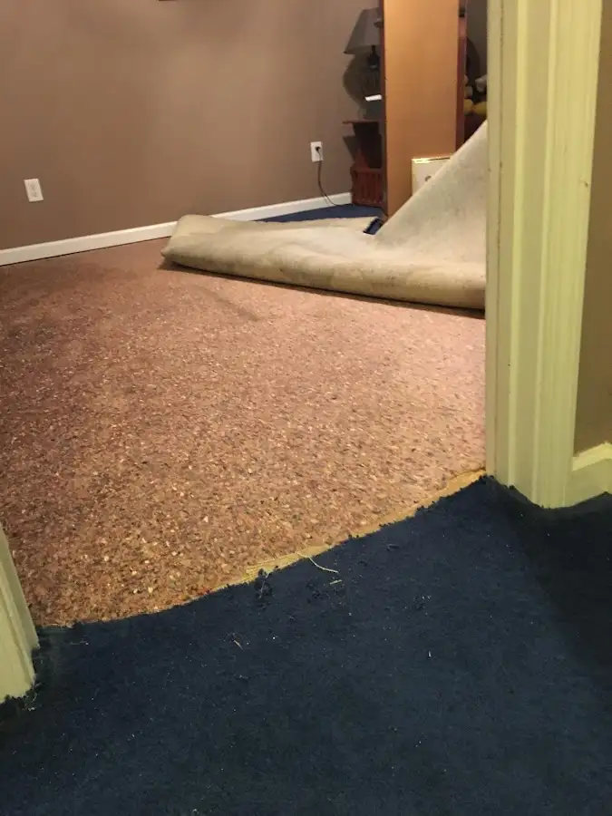 Carpet pad removal revealing water damage during Drying & Dehumidification in Dearborn Heights