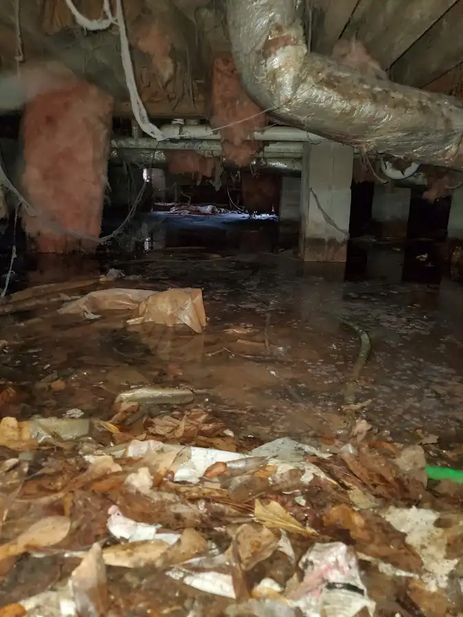 Crawl space flood assessment for Leak Detection & Repair in Dearborn Heights